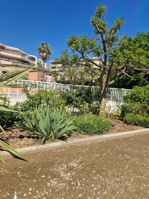 Appartement Vue Mer Sur Les Hauteurs De Nice Exteriör bild
