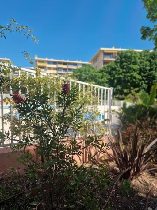 Appartement Vue Mer Sur Les Hauteurs De Nice Exteriör bild